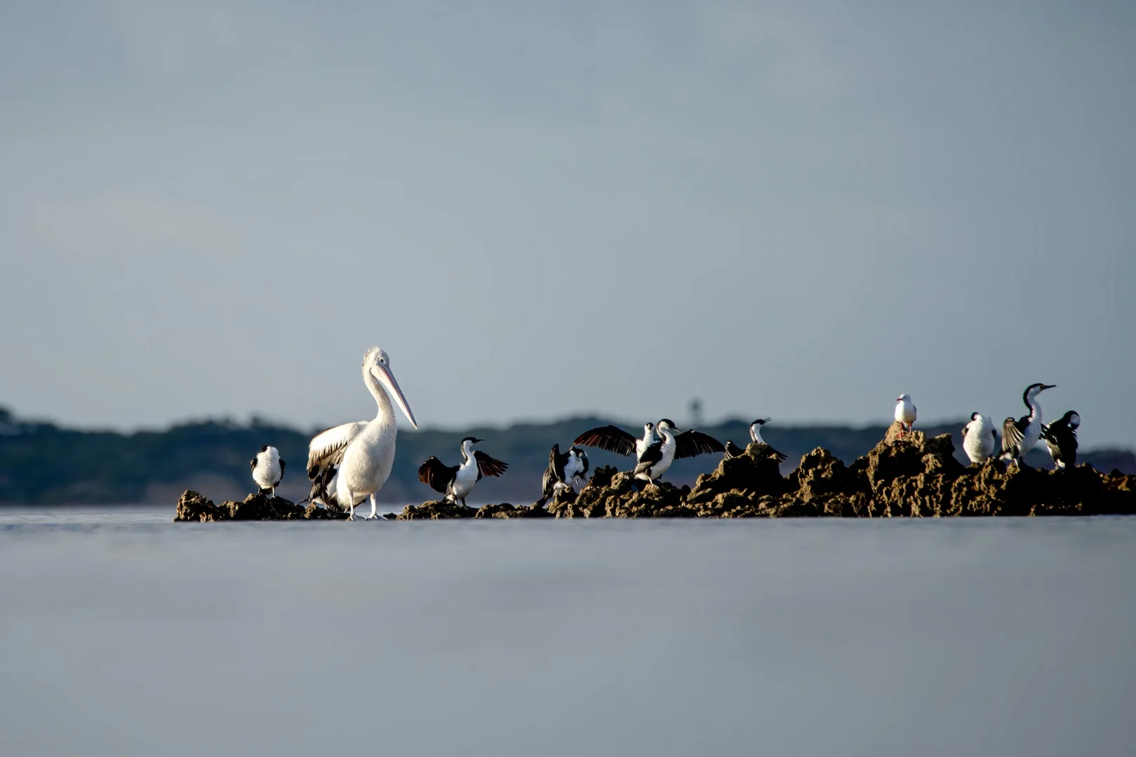 Additional image 58 of 412D Bratten Way, Tumby Bay SA 5605