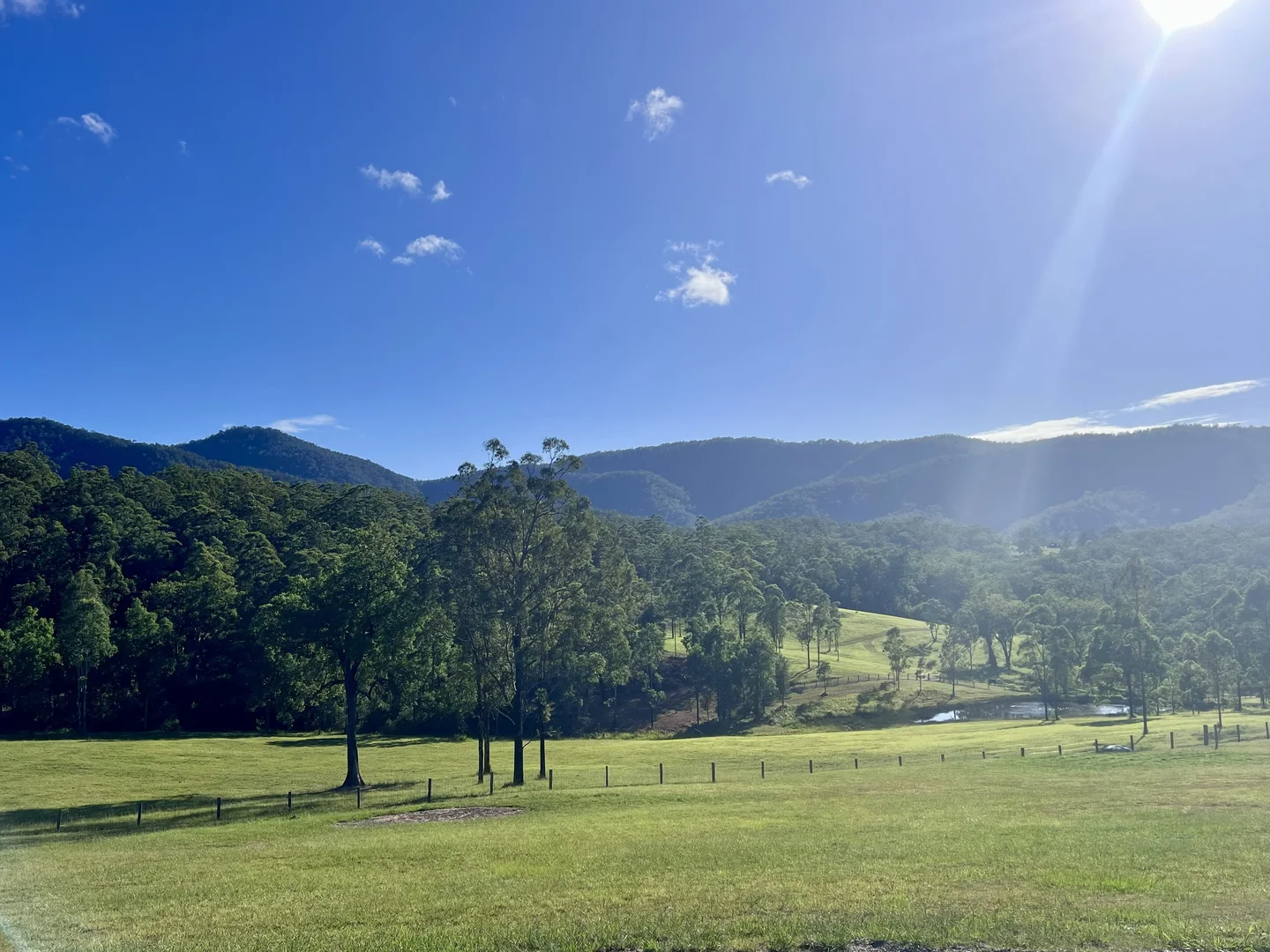 Additional image 35 of 6892 Gwydir Highway, Cangai NSW 2460