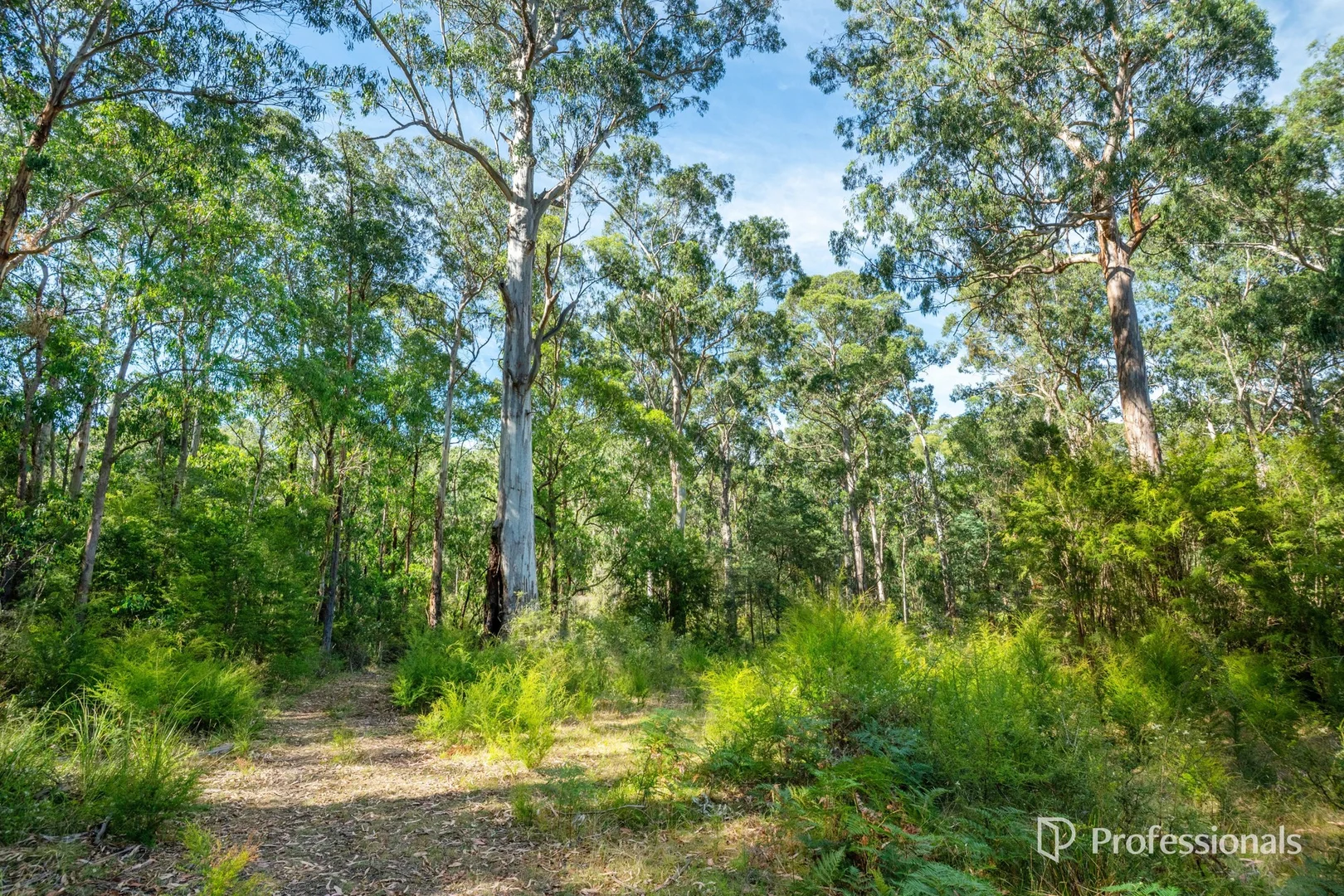 Additional image 28 of 150 Blackleather Creek Road, Launching Place VIC 3139