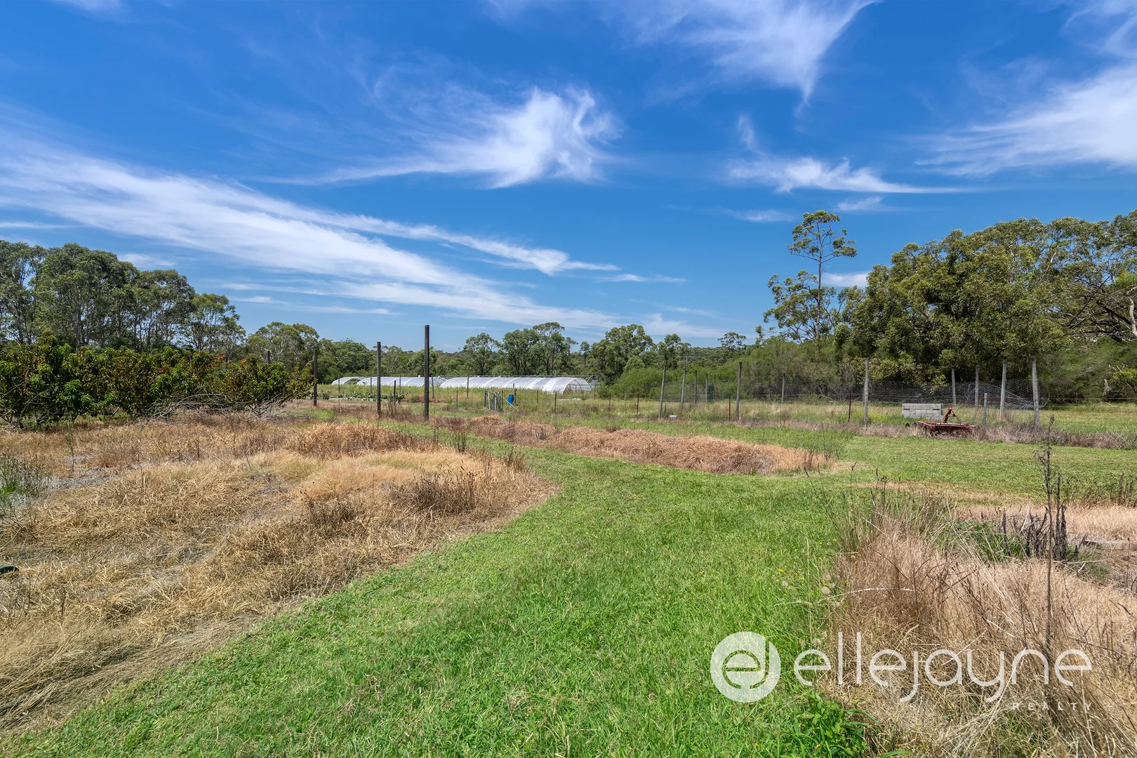 Additional image 26 of 95 Wyee Road, Wyee NSW 2259