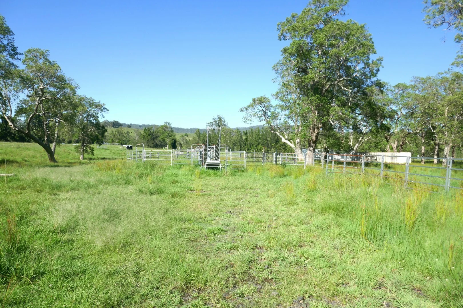 Additional image 26 of 258 Iron Pot Creek Rd, Ettrick NSW 2474
