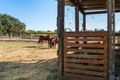 Additional image 19 of 5111 Todd Rd, Sebastopol, CA, 95472