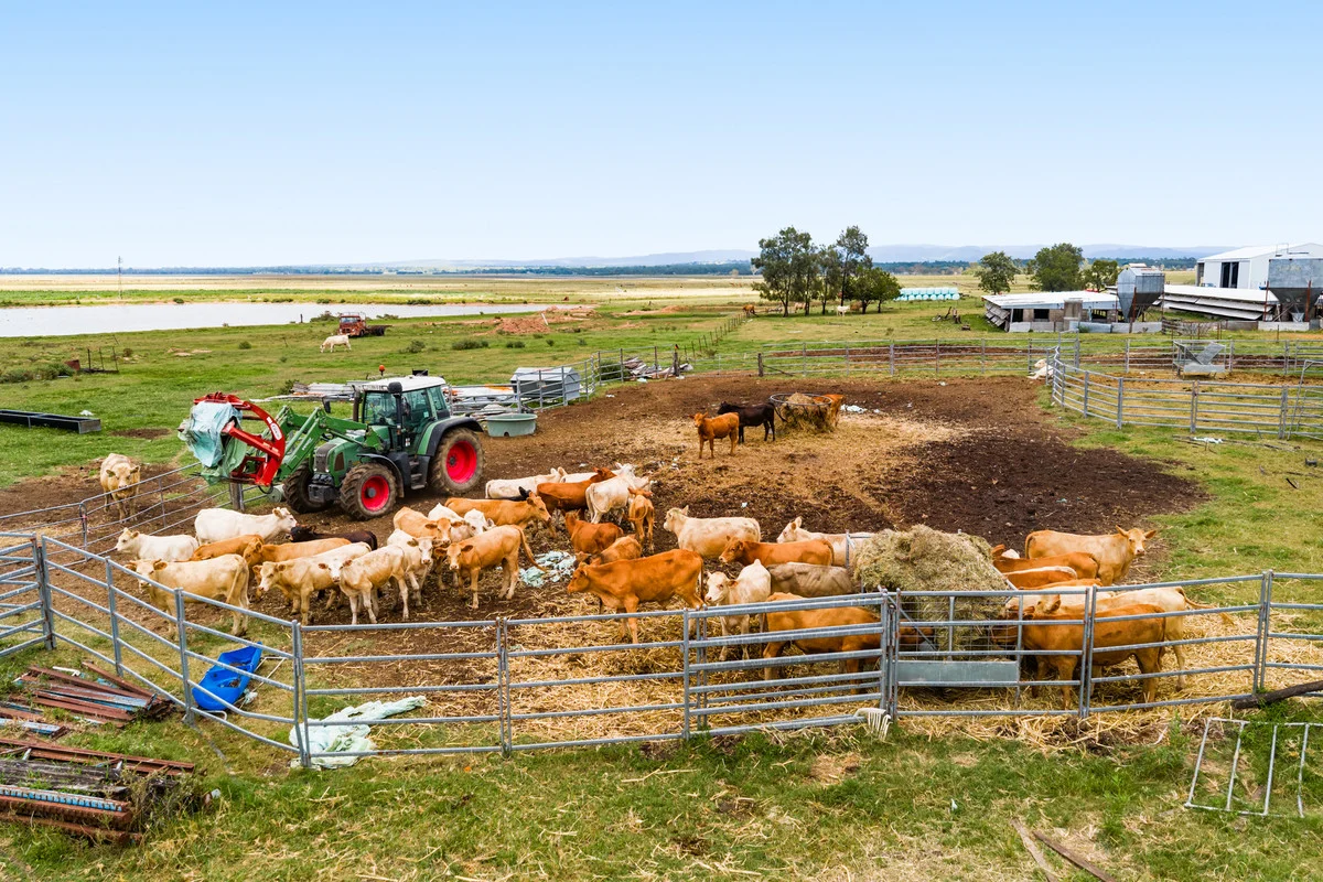 Additional image 23 of 33 Blind Gully Road, Mount Tarampa QLD 4311