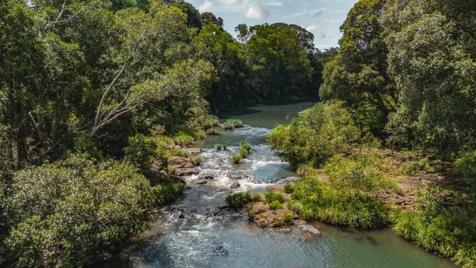 Additional image 20 of 111 Coorabell Road, Federal NSW 2480