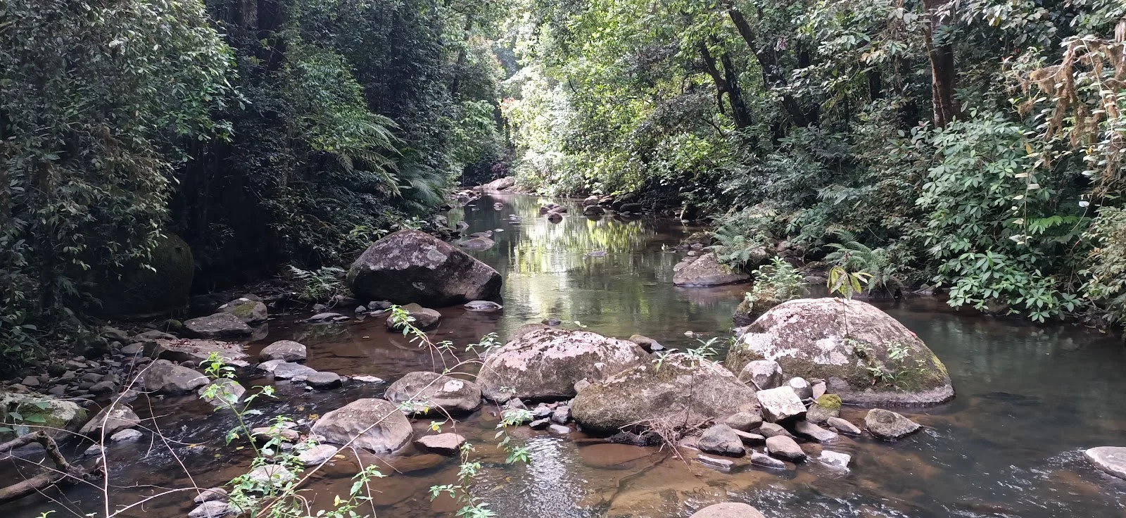 Additional image 10 of 9 Middlebrook Rd, Millaa Millaa QLD 4886