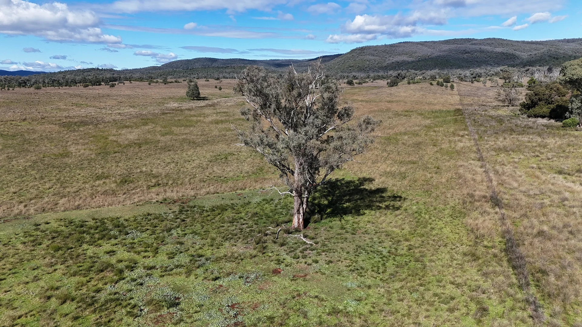 Additional image 13 of Elcombe Road, Bingara NSW 2404