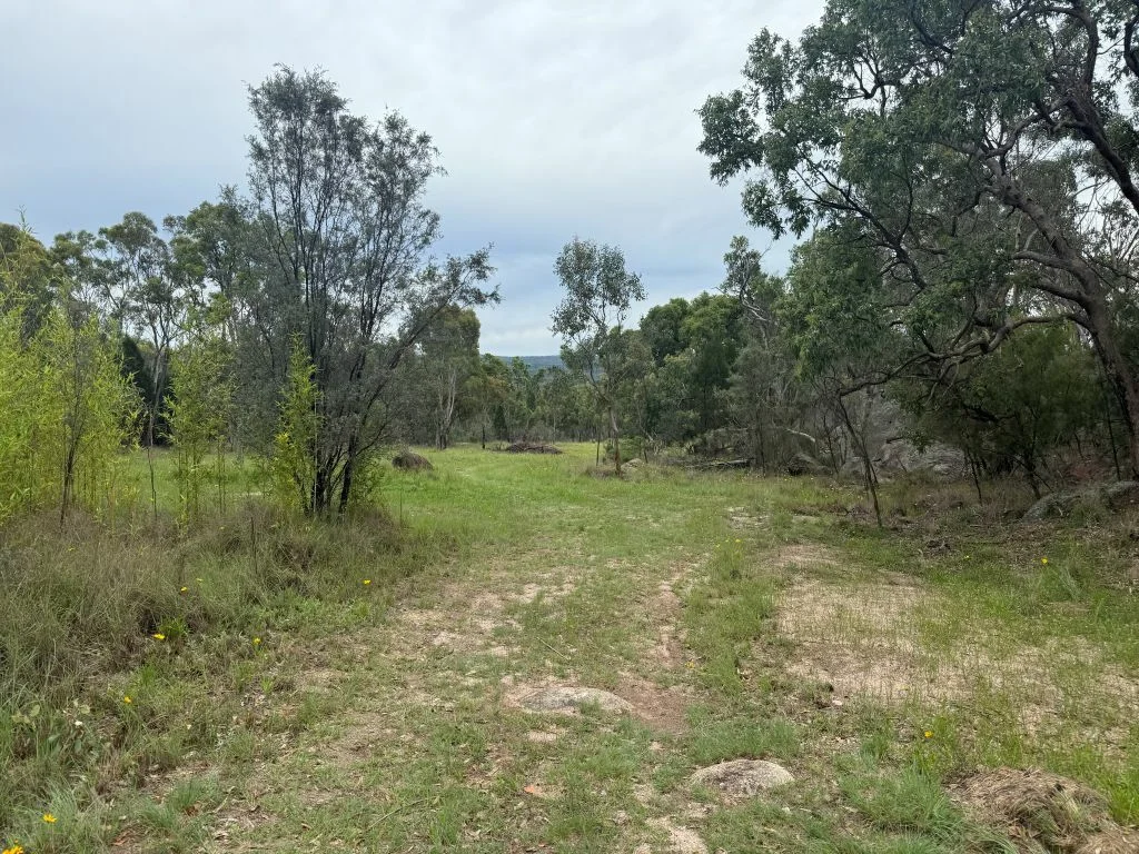 Additional image 6 of Lot/89 Fletcher Road, Ballandean QLD 4382