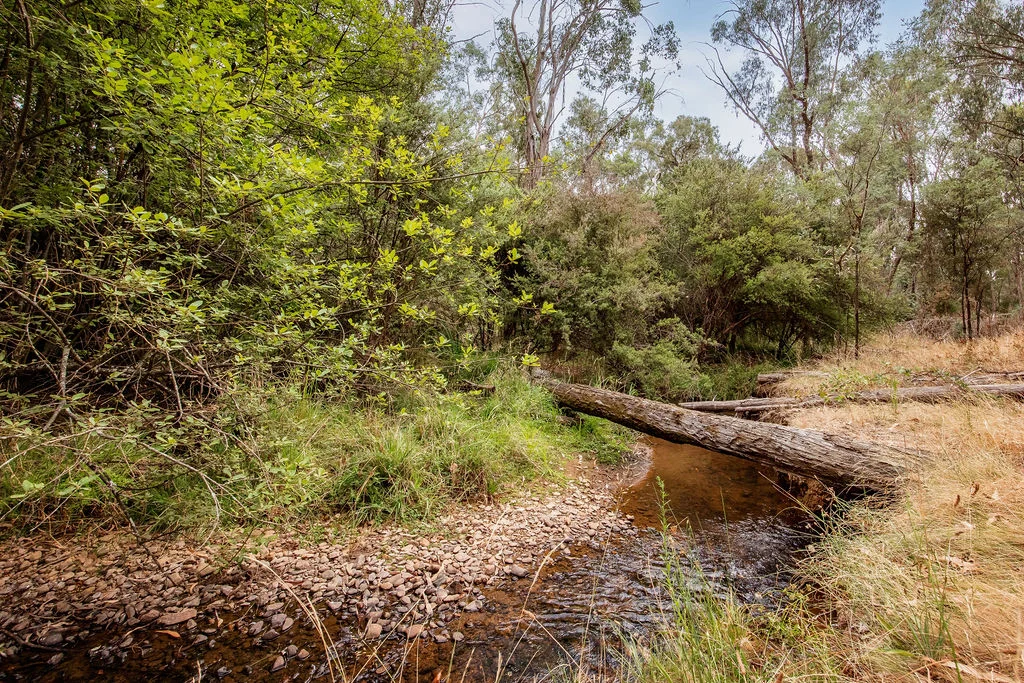 Additional image 29 of 22 Crystal Creek Lane, Yackandandah VIC 3749