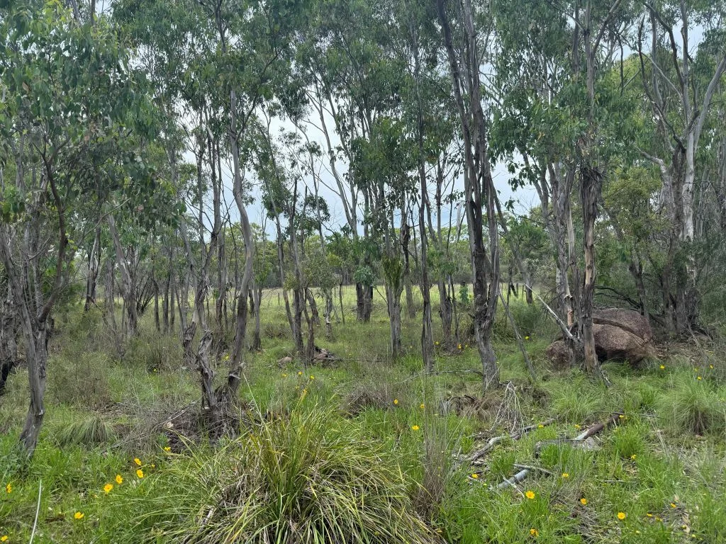 Additional image 17 of Lot/89 Fletcher Road, Ballandean QLD 4382