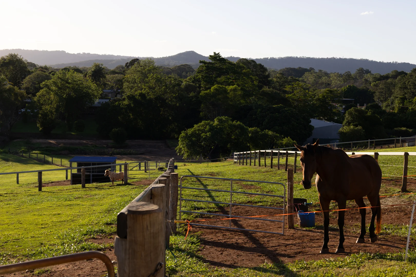 Additional image 26 of 8 Moorhouse Road, Woombye QLD 4559