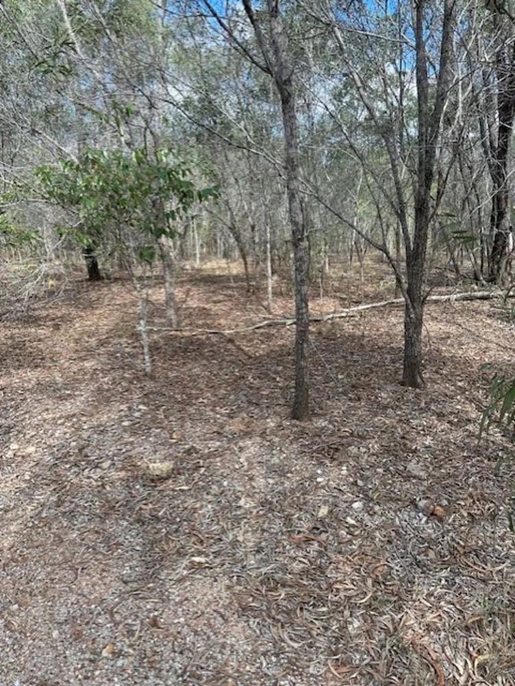 Additional image 2 of Lot 49 Railway Parade, St Lawrence QLD 4707