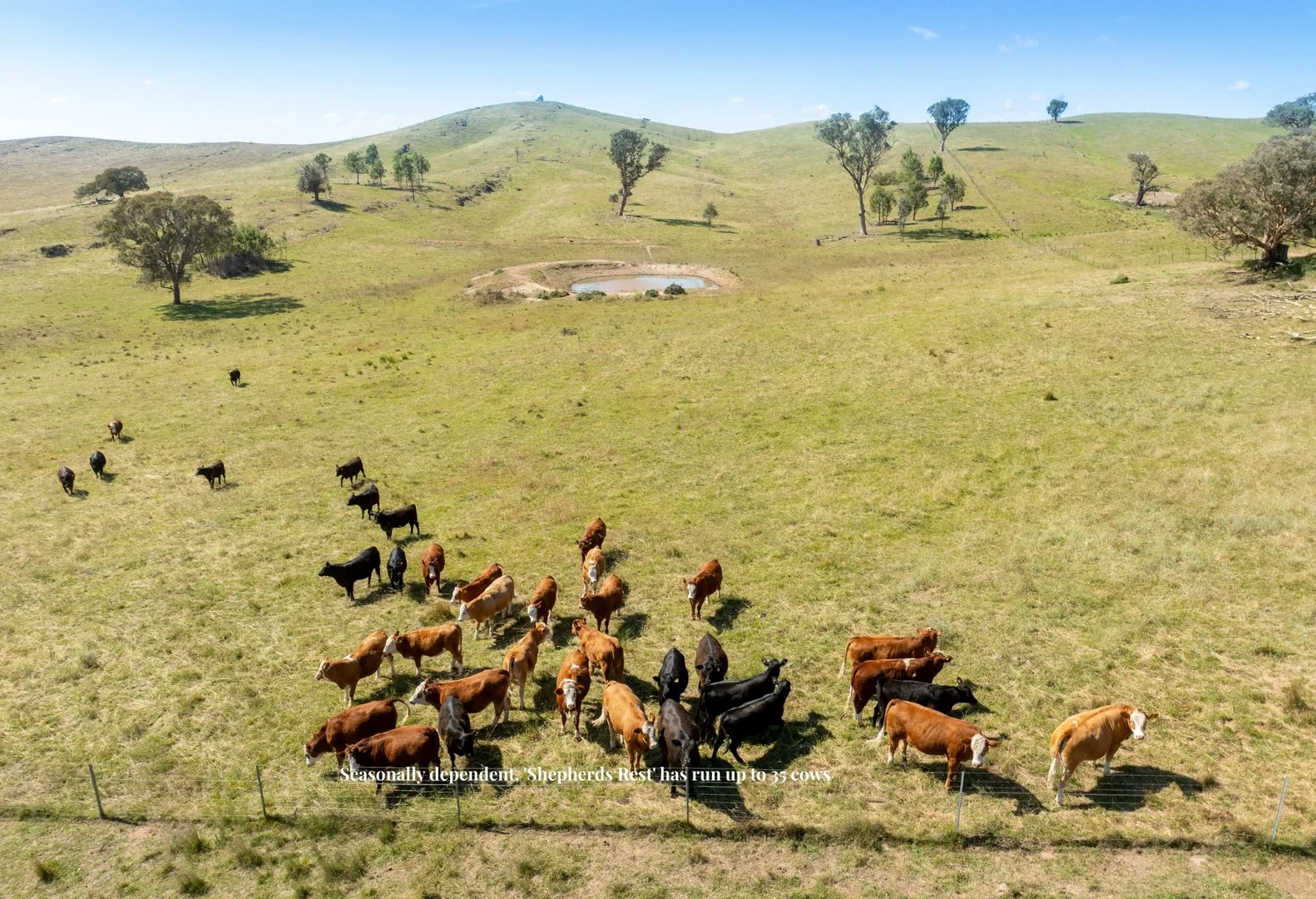 Additional image 31 of 'Shepherds Rest' 4535 Burrendong Way, Euchareena NSW 2866