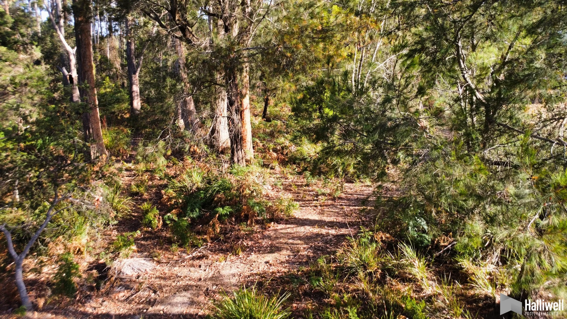 Additional image 35 of 35 Watsons Road, Northdown TAS 7307