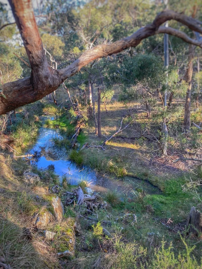 Additional image 7 of 5 Atchison Road, Morrisons VIC 3334