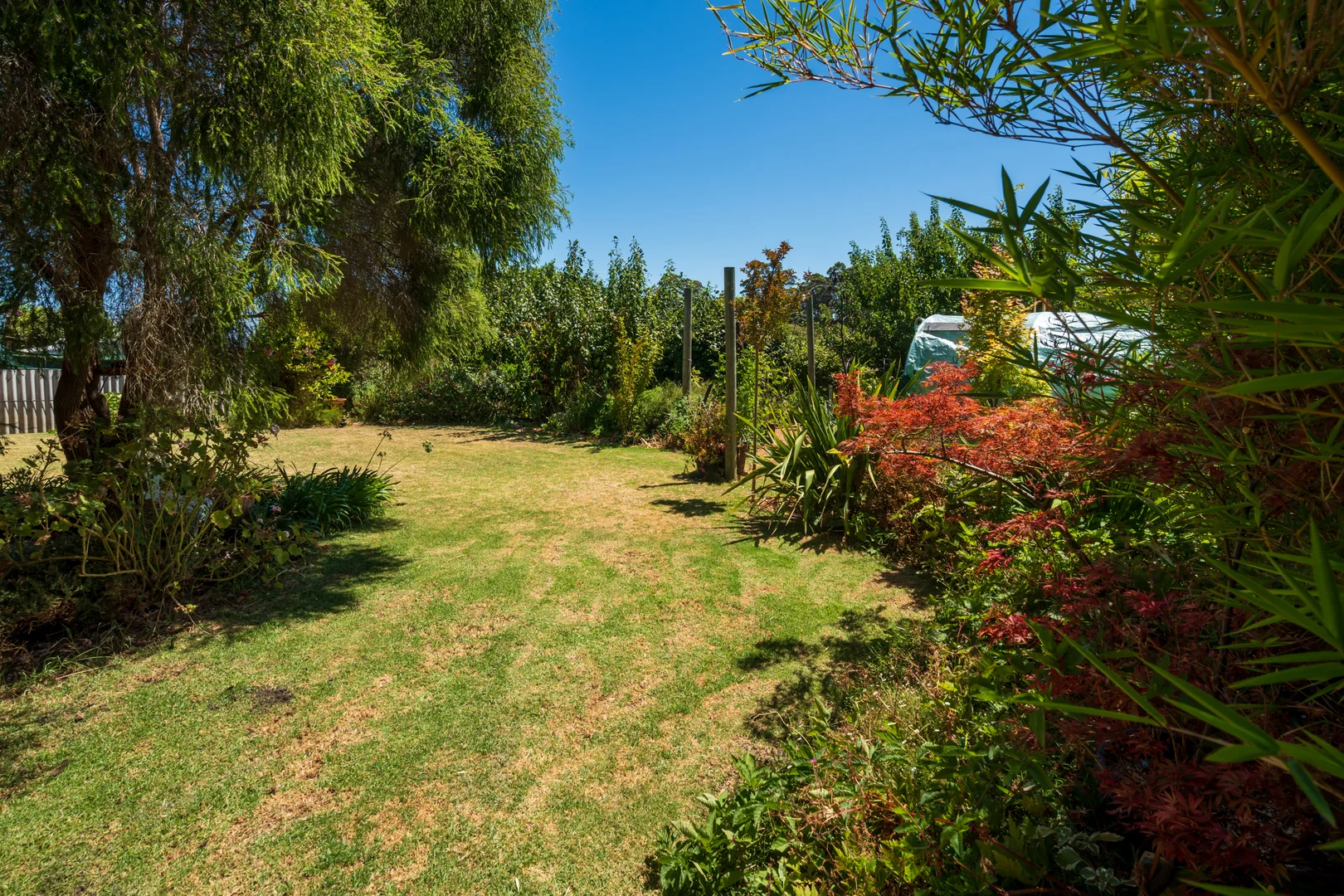 Additional image 19 of 86 Pritchard Street, Manjimup WA 6258