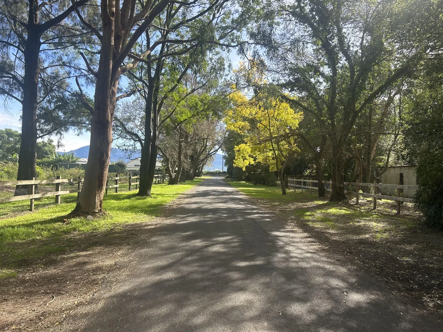 Additional image 33 of 6 Holme Street, Terara NSW 2540