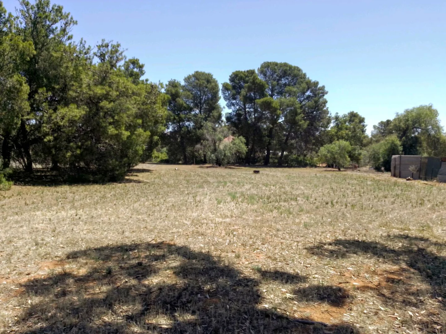 Additional image 7 of 22 Barr Street, Redhill SA 5521