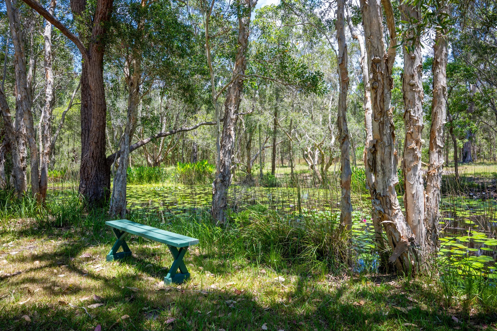 Additional image 3 of 2536 Solitary Islands Way, Arrawarra NSW 2456