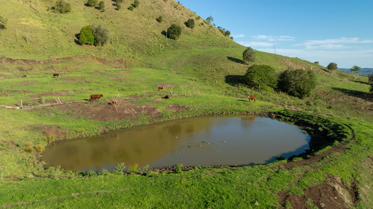 Additional image 19 of Bingeebeebra Creek, Mummulgum NSW 2469
