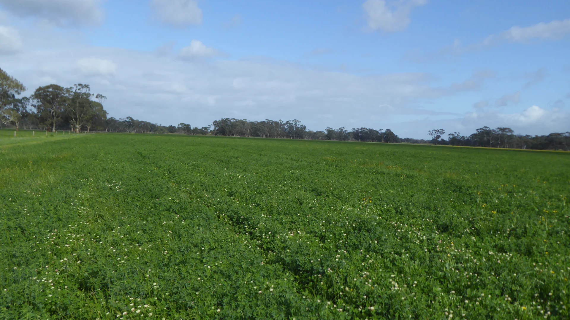 Additional image 6 of 2448 Bangham Road, Frances SA 5262