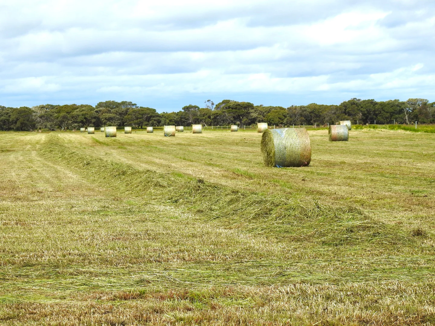 Additional image 17 of 1181 Scott River Road, Scott River WA 6288