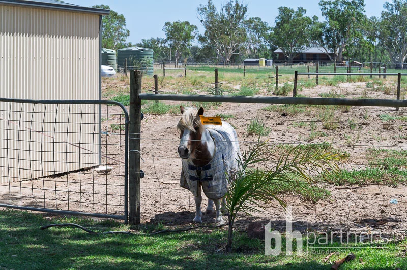 Additional image 39 of 33 River Reserve Road, Swan Reach SA 5354