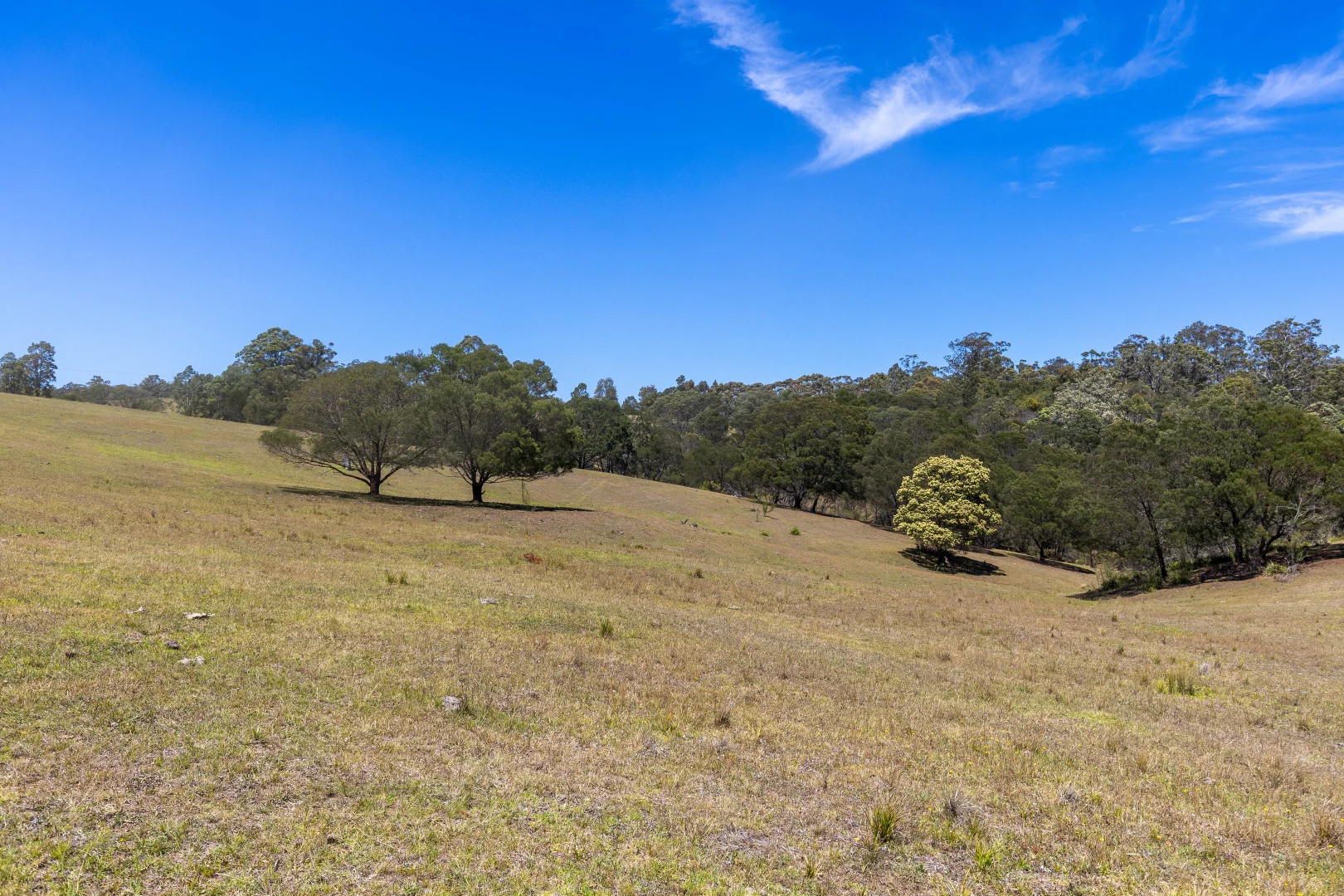 Additional image 29 of 336 Westrops Road, Coolagolite NSW 2550