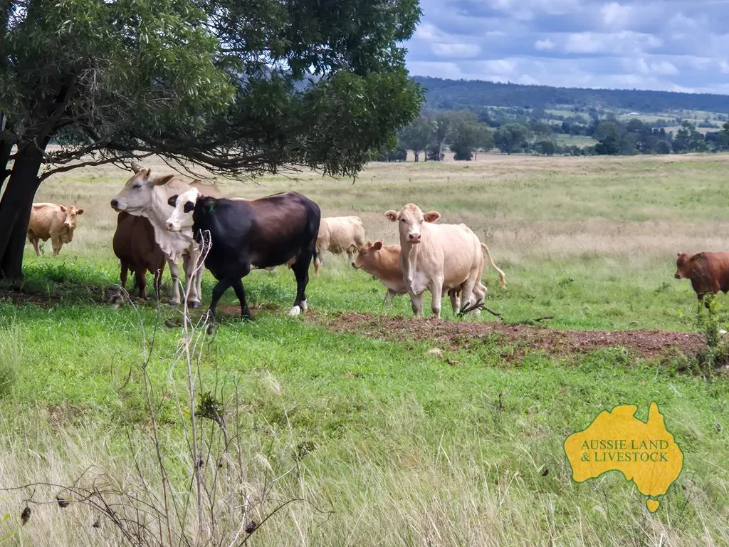 Additional image 37 of 296 Cloyna West Road, Cloyna QLD 4605