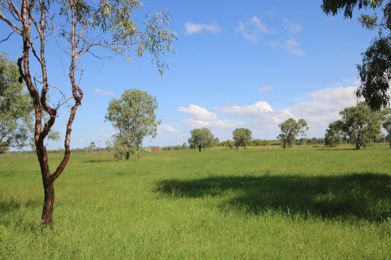 Additional image 28 of 366 GEORGE STREET, Depot Hill QLD 4700