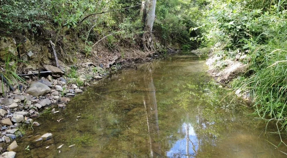 Additional image 6 of 222 Pappinbarra Road Left Arm, Upper Pappinbarra NSW 2446