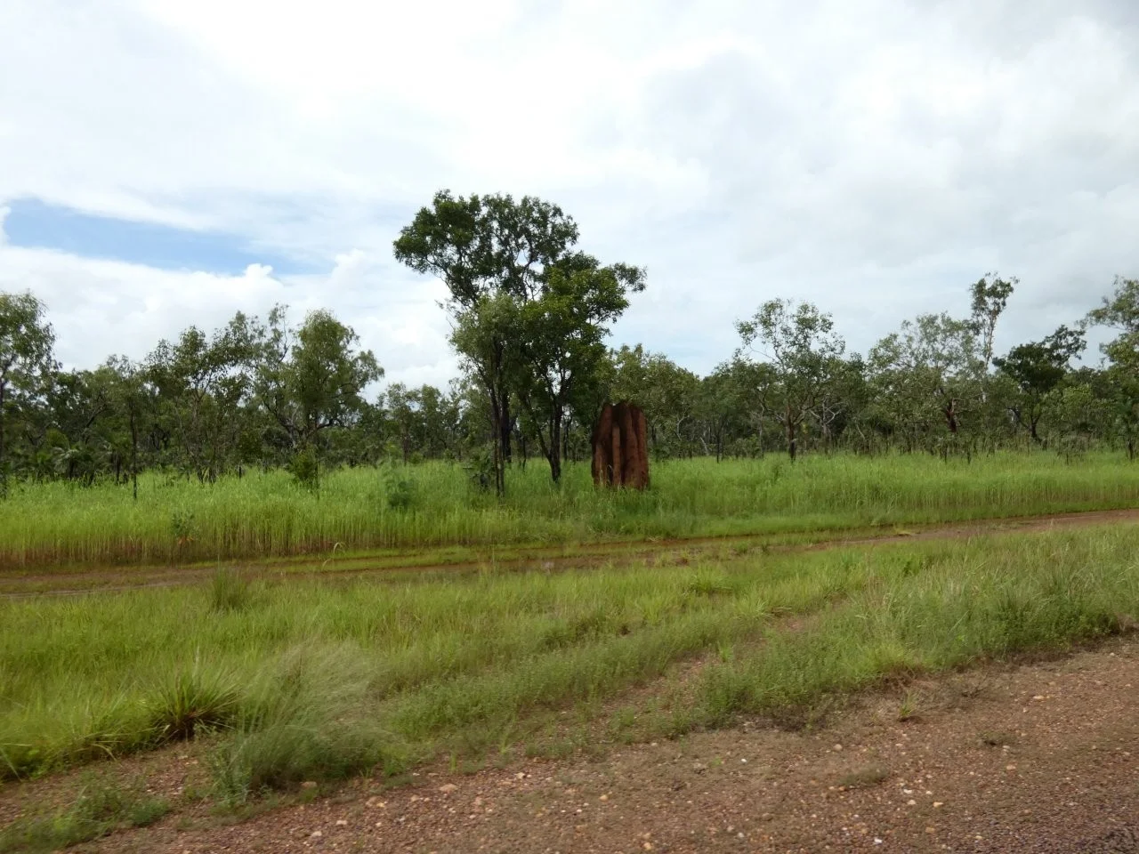 Additional image 12 of 2936 Litchfield Park Road, Charlotte NT 0822