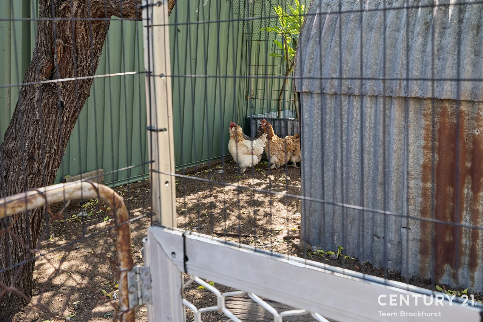 Additional image 29 of 34 Grant Street, Narrogin WA 6312