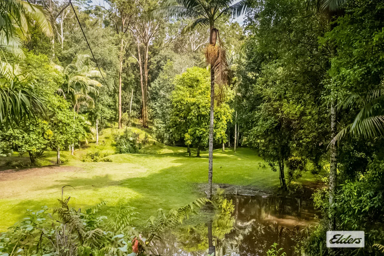 Additional image 21 of 1798 Dooralong Road, Lemon Tree NSW 2259