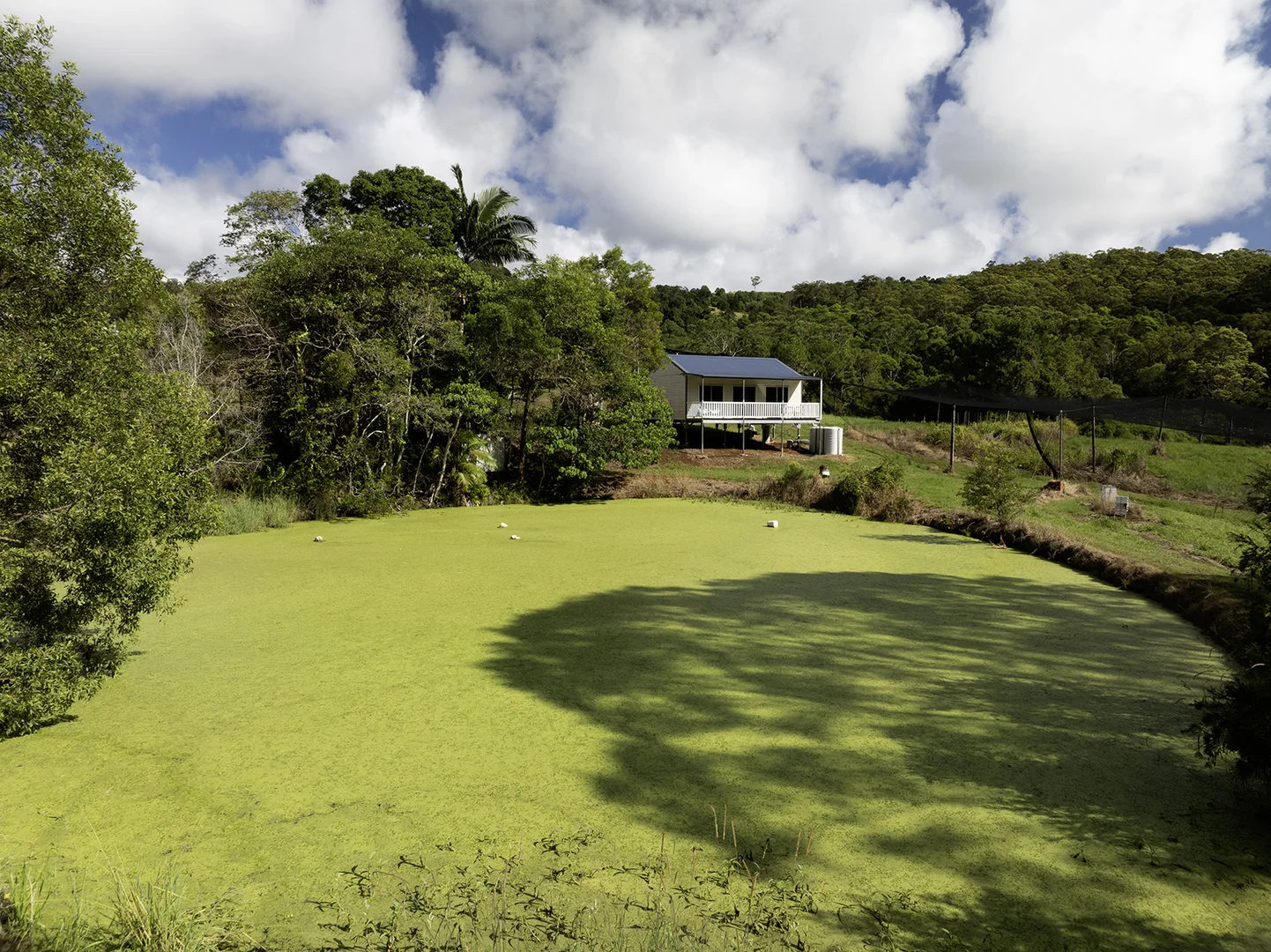 Additional image 32 of 654 Blackall Range Road, West Woombye QLD 4559