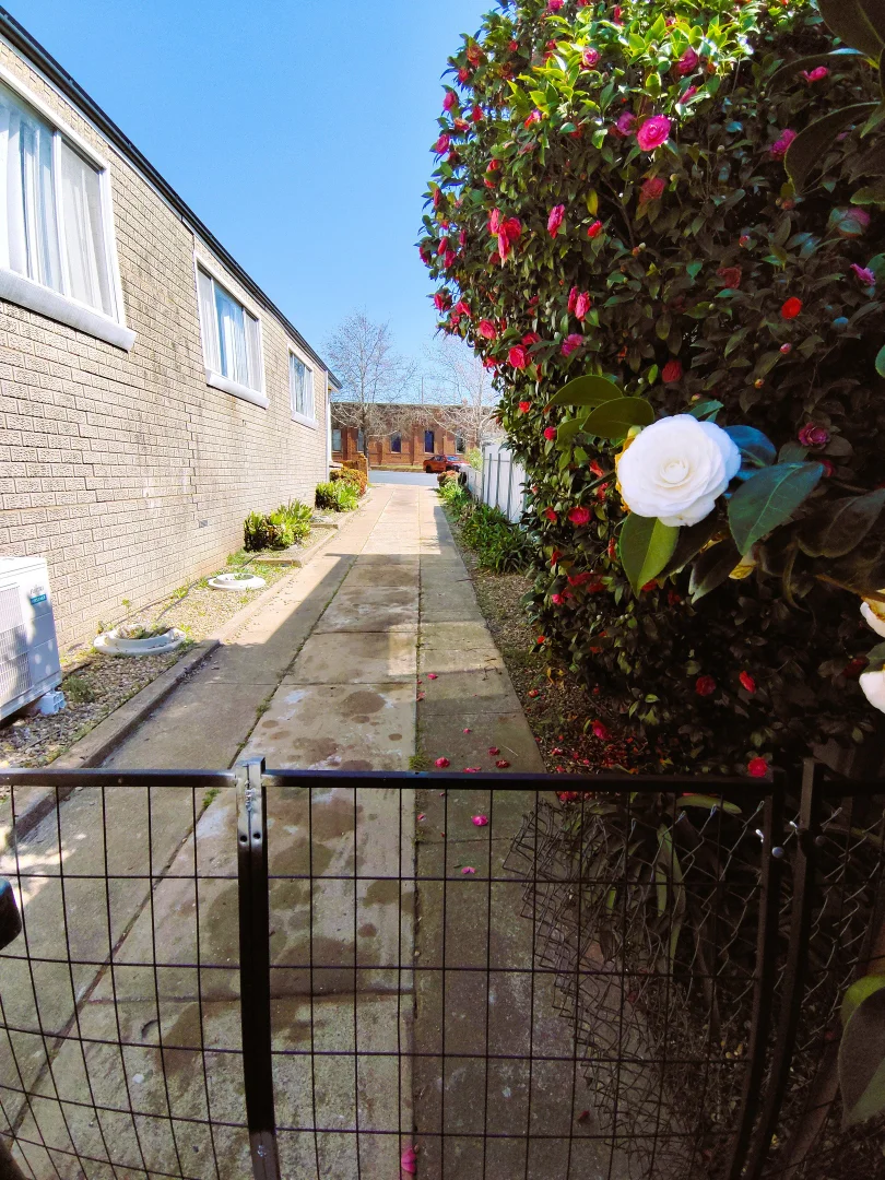 Additional image 22 of 2 Weddin Street, Grenfell NSW 2810