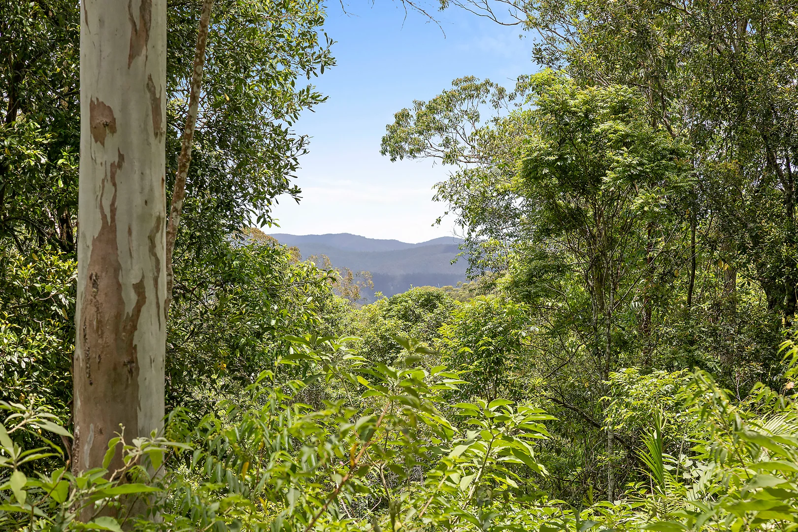 Additional image 7 of 55-105 Brodie Road, Mount Mee QLD 4521