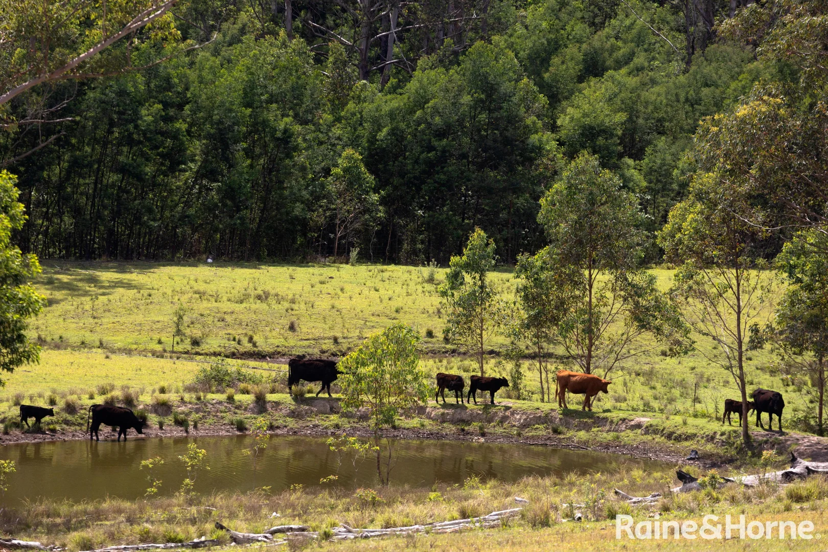 Additional image 17 of 225 Woodburn Road, Morton NSW 2538