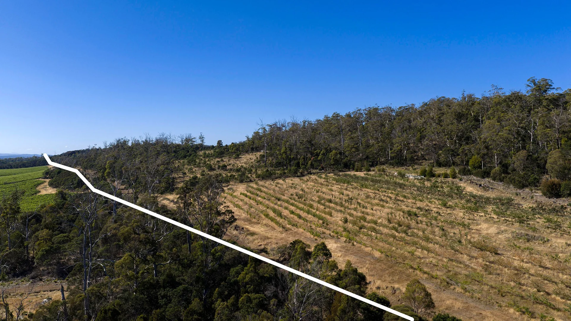 Additional image 8 of 389 Auburn Road, Beaconsfield TAS 7270