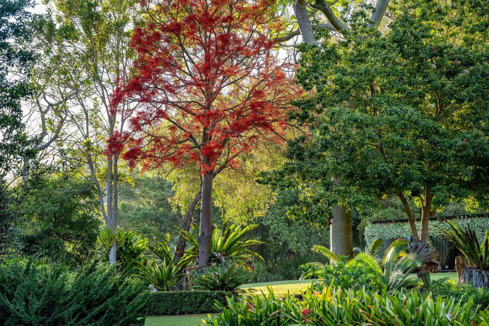 Additional image 19 of 3196 Christmas Creek Road, Lamington QLD 4285