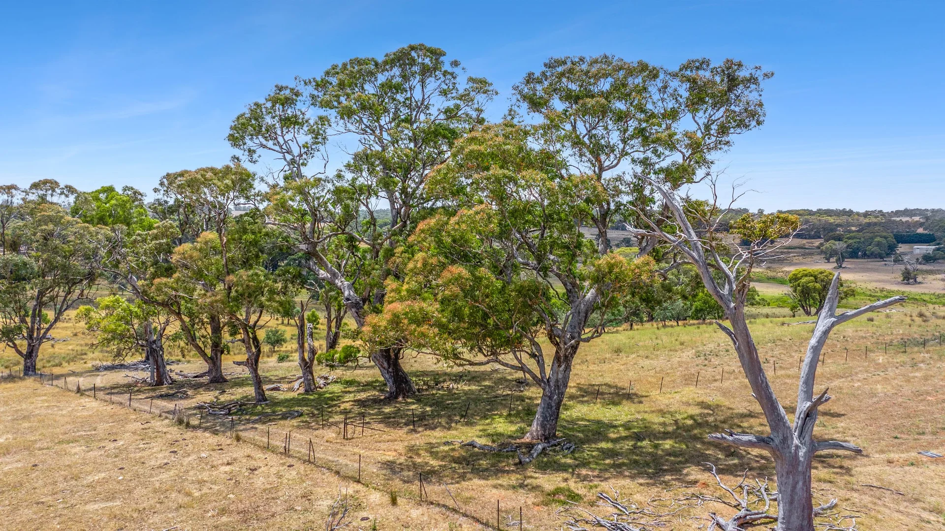 Additional image 7 of 171 Boongarra Road, Laggan via, Crookwell NSW 2583