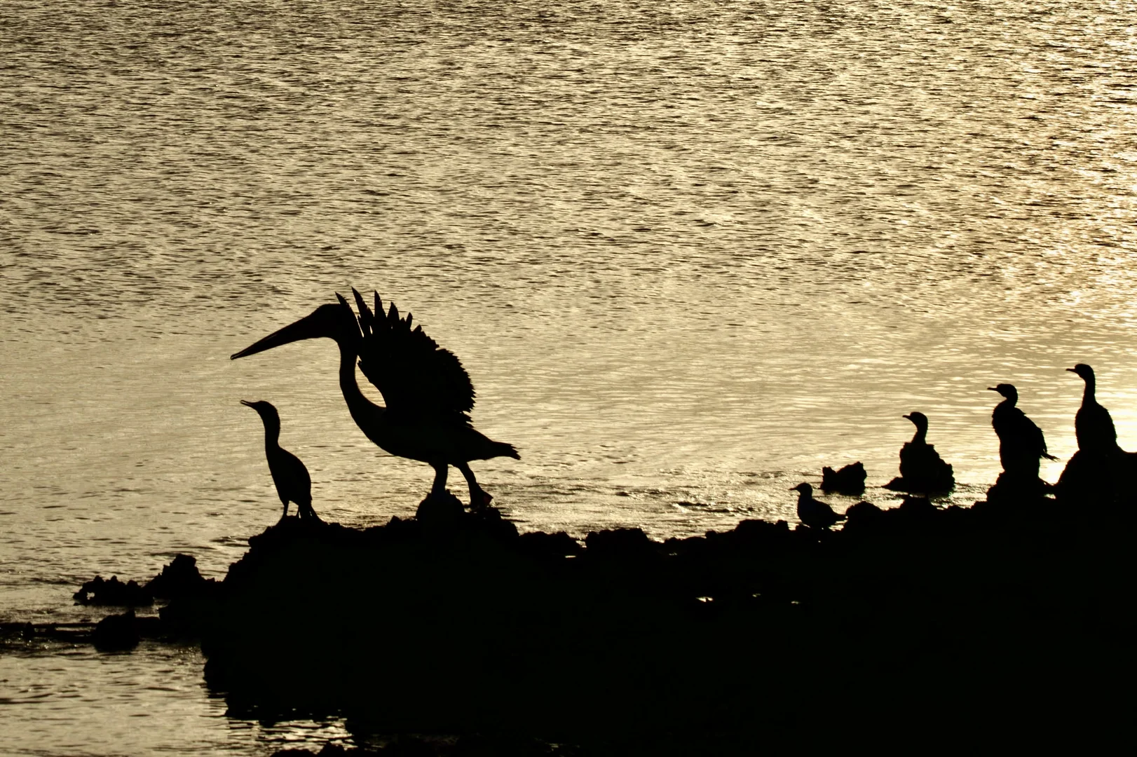Additional image 57 of 412D Bratten Way, Tumby Bay SA 5605