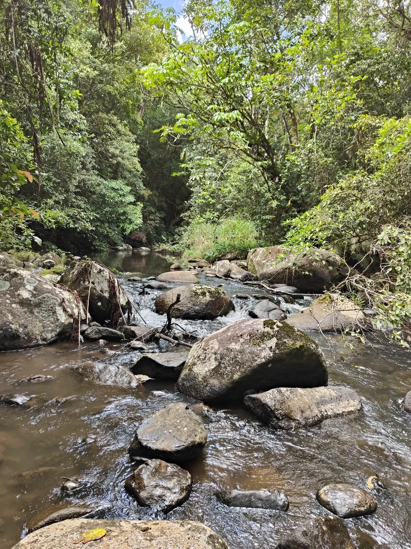 Additional image 14 of 9 Middlebrook Rd, Millaa Millaa QLD 4886