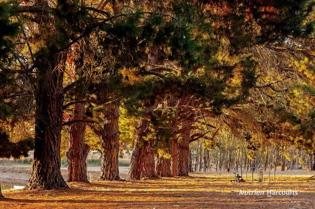 Additional image 19 of 810 Coojar Lane, Tarrayoukyan VIC 3315