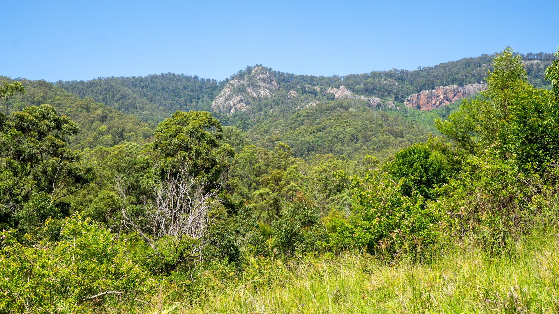 Additional image 21 of Wherrol Flat NSW 2429