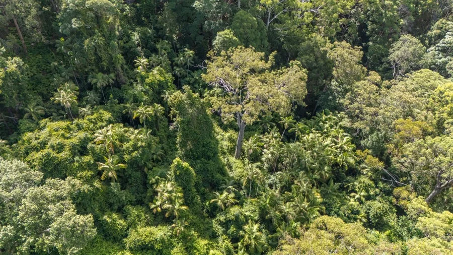 Additional image 11 of 1458 Sherwood Creek Road, Sherwood NSW 2450