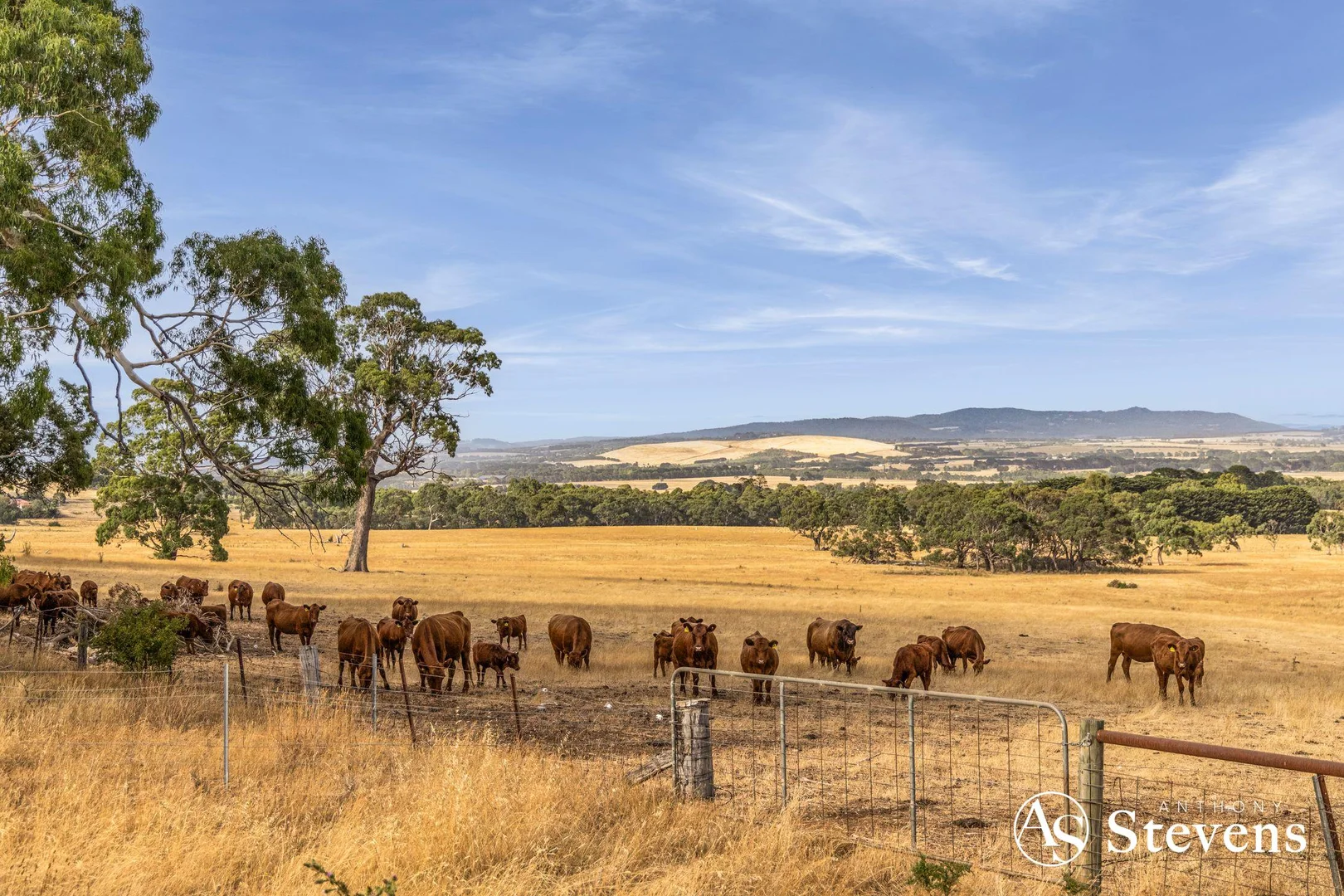 Additional image 4 of C/A-61 Pattinsons Lane, Goldie VIC 3435