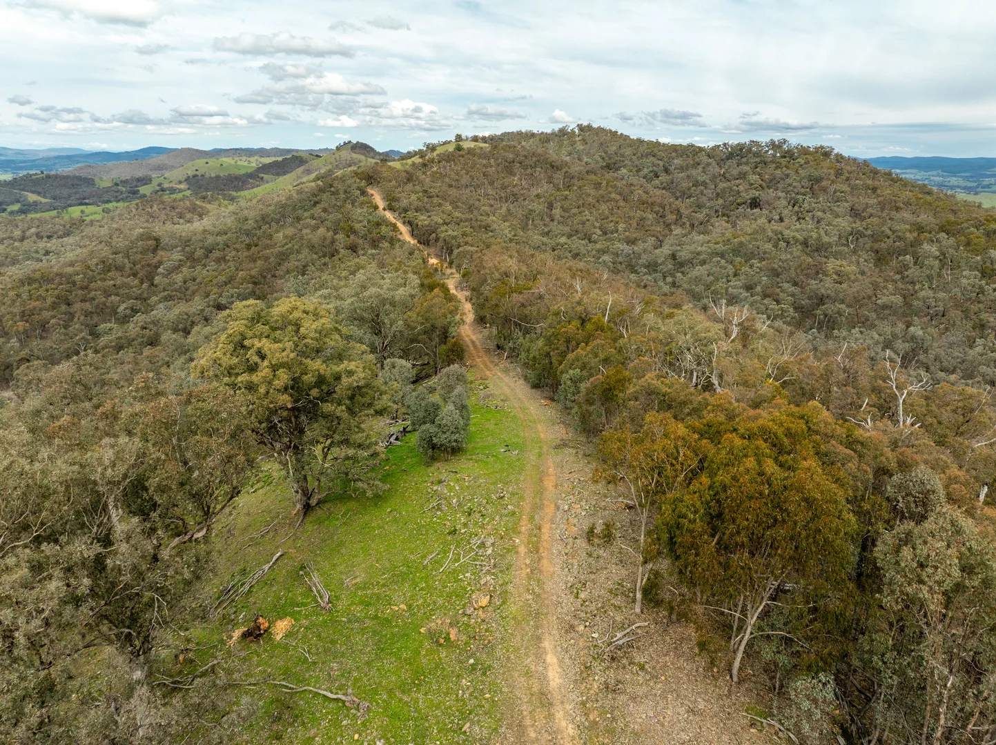 Additional image 50 of 2543 Westbrook Road, Oberne Creek NSW 2650