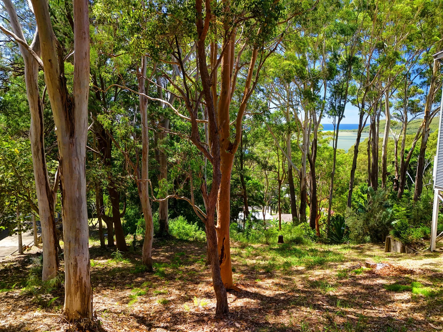 Additional image 2 of 12 Scarfe Street, Smiths Lake NSW 2428