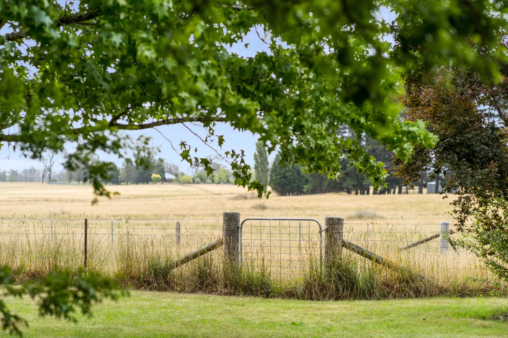 Additional image 14 of 310 Sproules Lane, Glenquarry NSW 2576