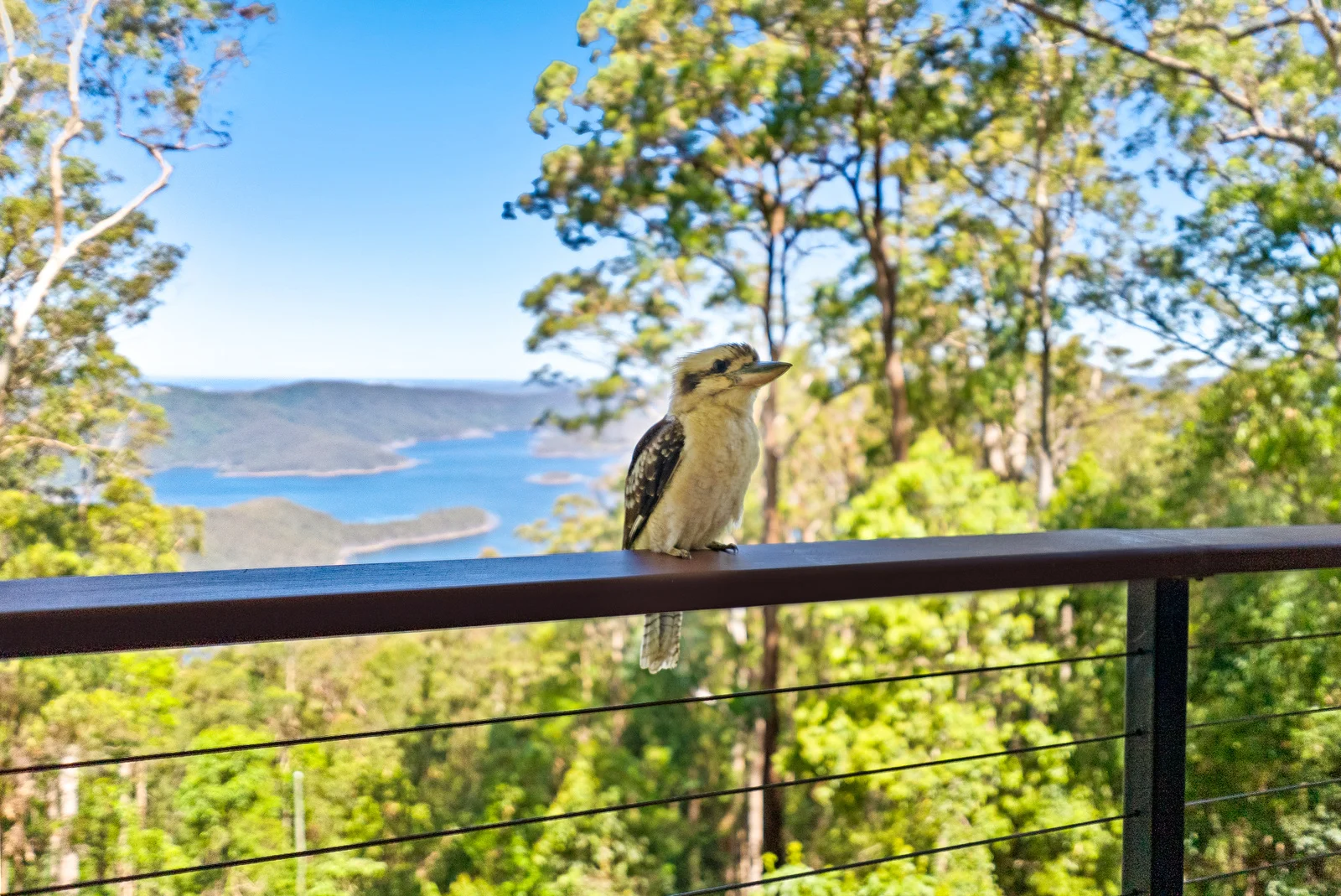 Additional image 18 of 580A Beechmont Road, Lower Beechmont QLD 4211